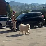 близнюки