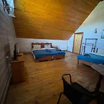 близнюки Guest house *