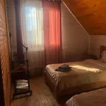 близнюки