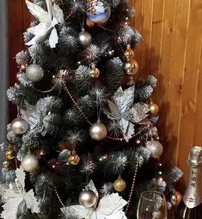 близнюки *