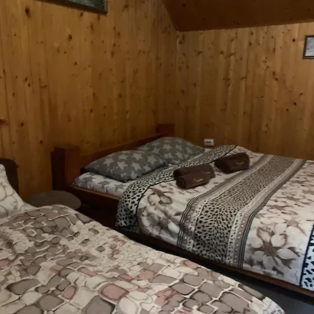 Guest house близнюки