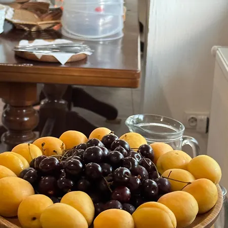 близнюки Guest house