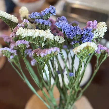 Guest house близнюки *