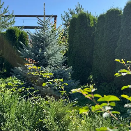 близнюки * Vorokhta