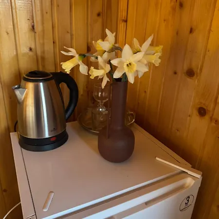 близнюки Guest house *