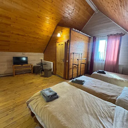 близнюки Guest house Vorokhta