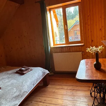 Guest house близнюки