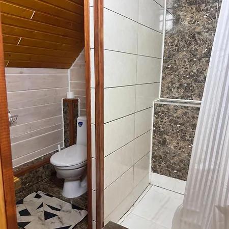 Guest house близнюки