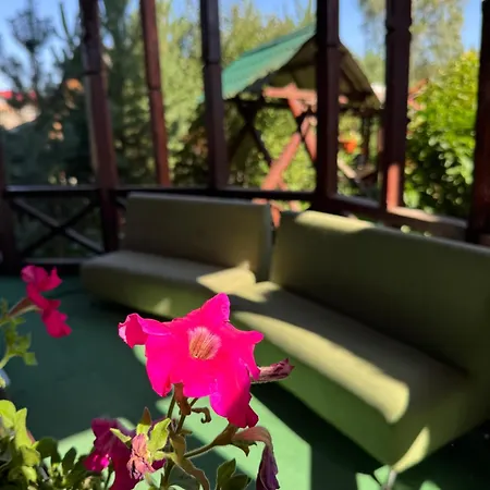 близнюки ボロフタ