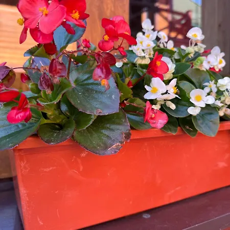 близнюки ゲストハウス