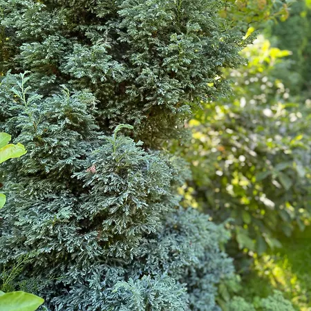 близнюки ゲストハウス ボロフタ