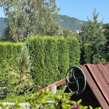 близнюки ボロフタ