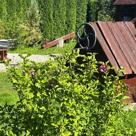 близнюки ボロフタ